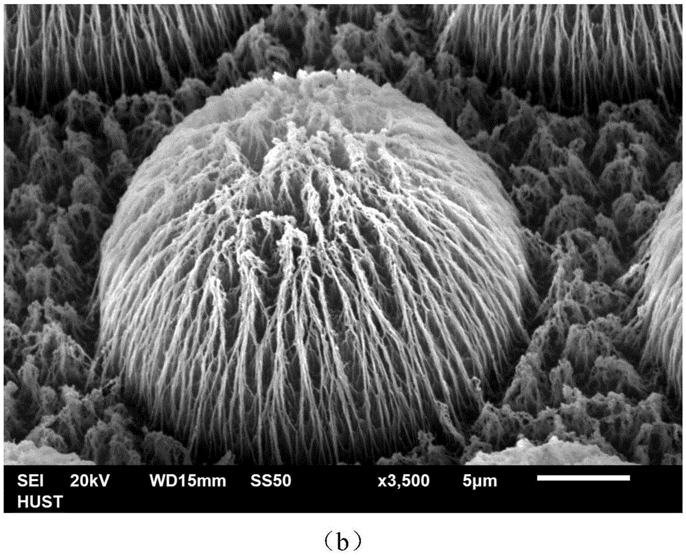 A three-dimensional cross-scale carbon electrode array structure and its preparation method