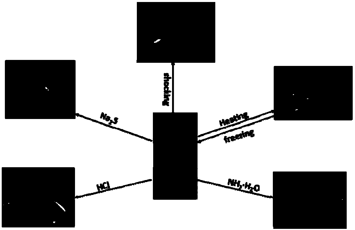 A kind of gemini structure supramolecular gel factor and its preparation method