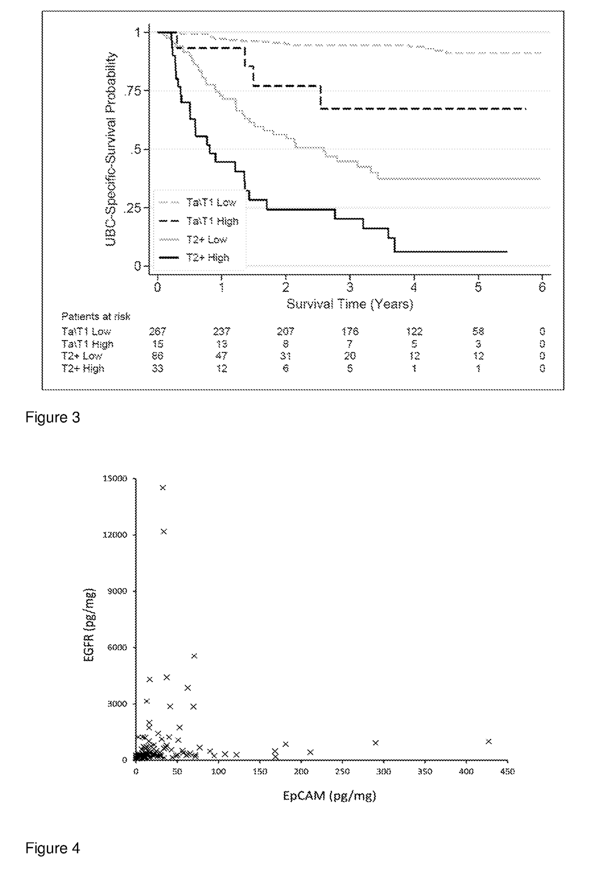 Bladder cancer prognosis