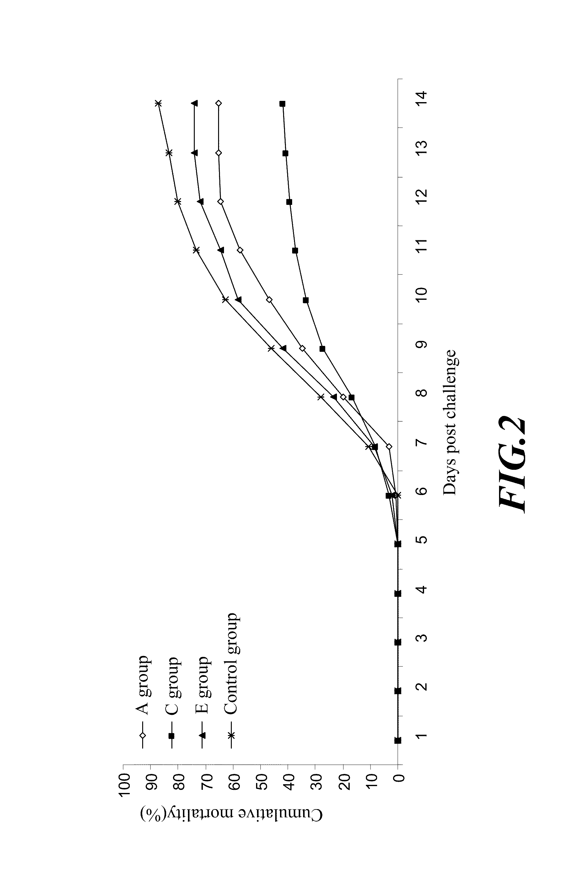 <i>Edwardsiella ictaluri </i>E-ict-VL33 strain, vaccines thereof, and a method for protecting fishes using said vaccines