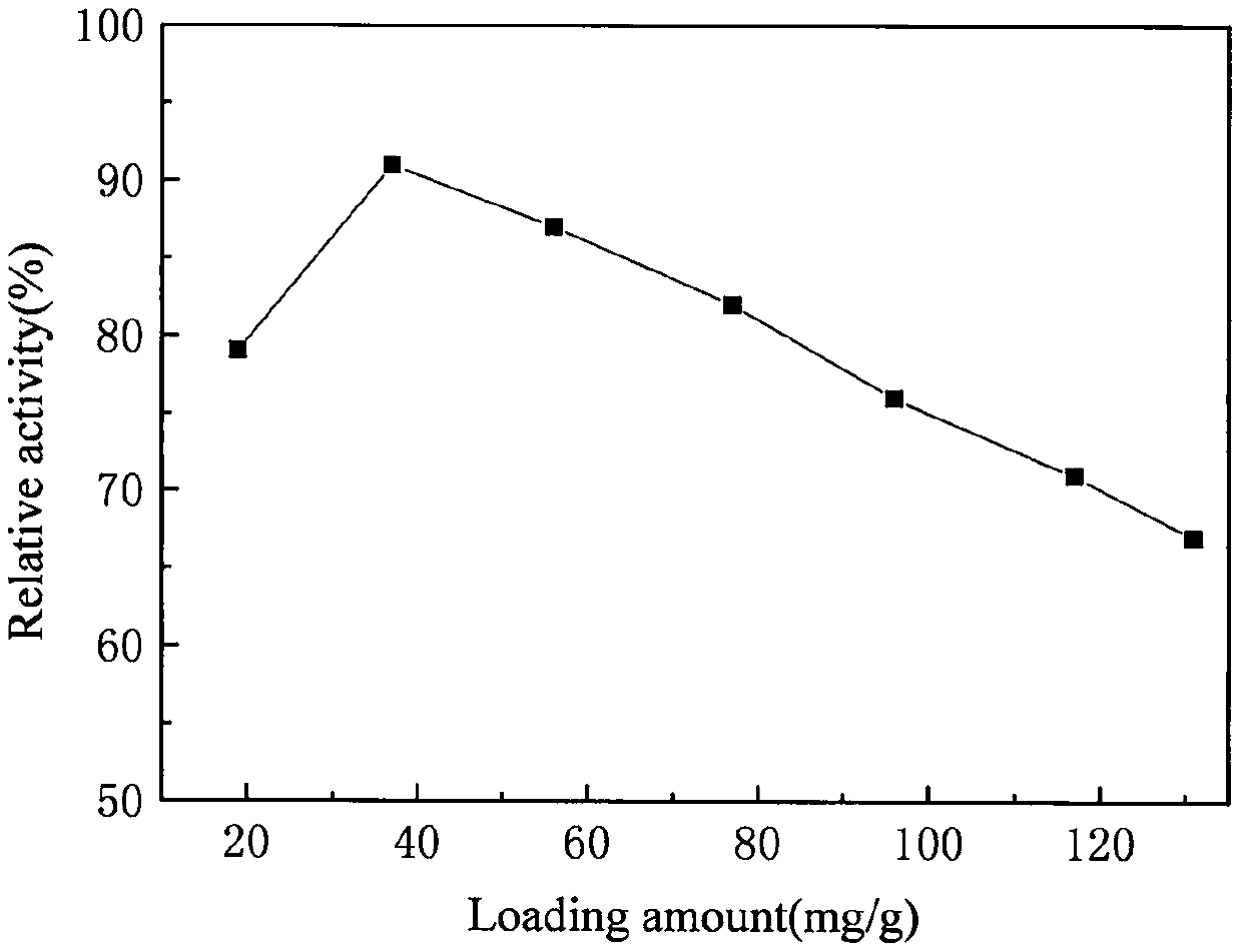 Co-crosslinking immobilization method of penicillin G acylase