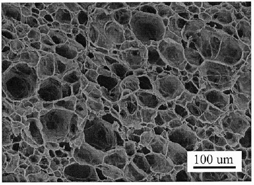 Polyvinyl alcohol/chitin nanocrystal composition microporous foaming material