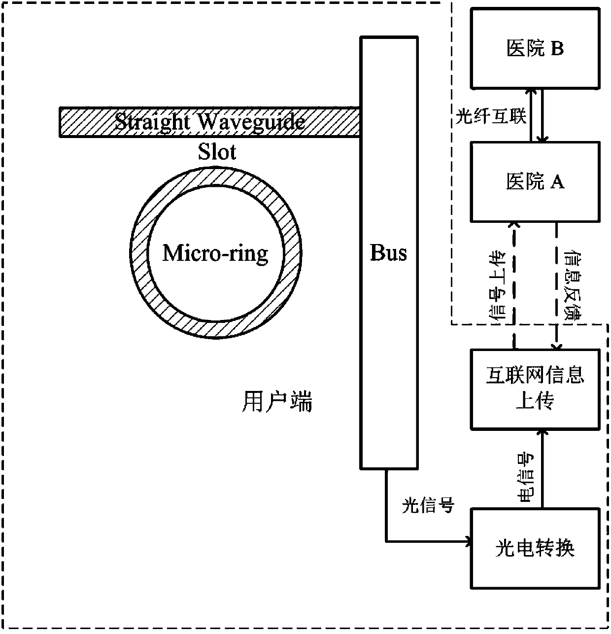 Slot waveguide based blood sugar detection apparatus