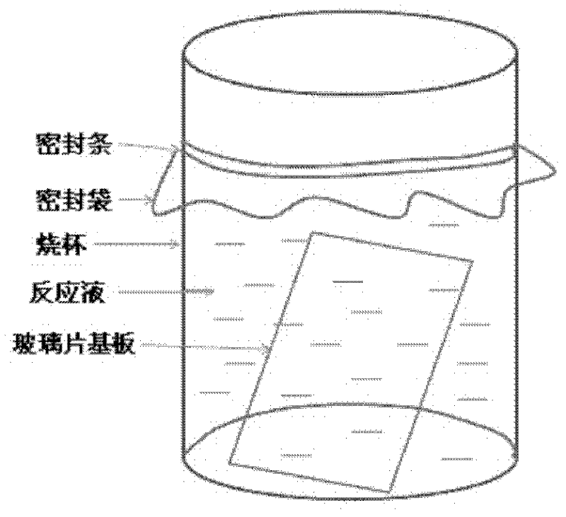 Method for preparing zinc oxide nano sheet array