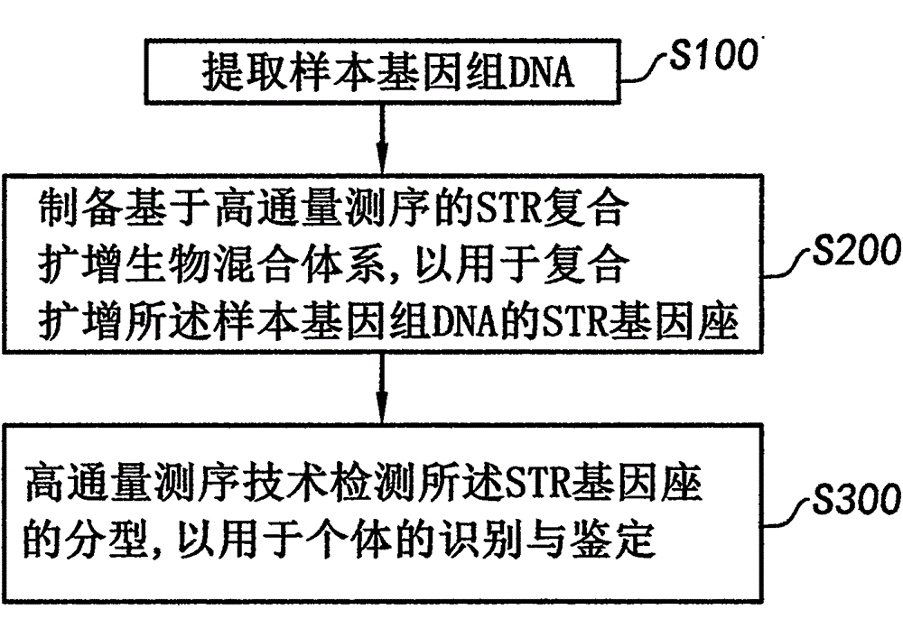 System and method for detecting STR subtype at high throughput