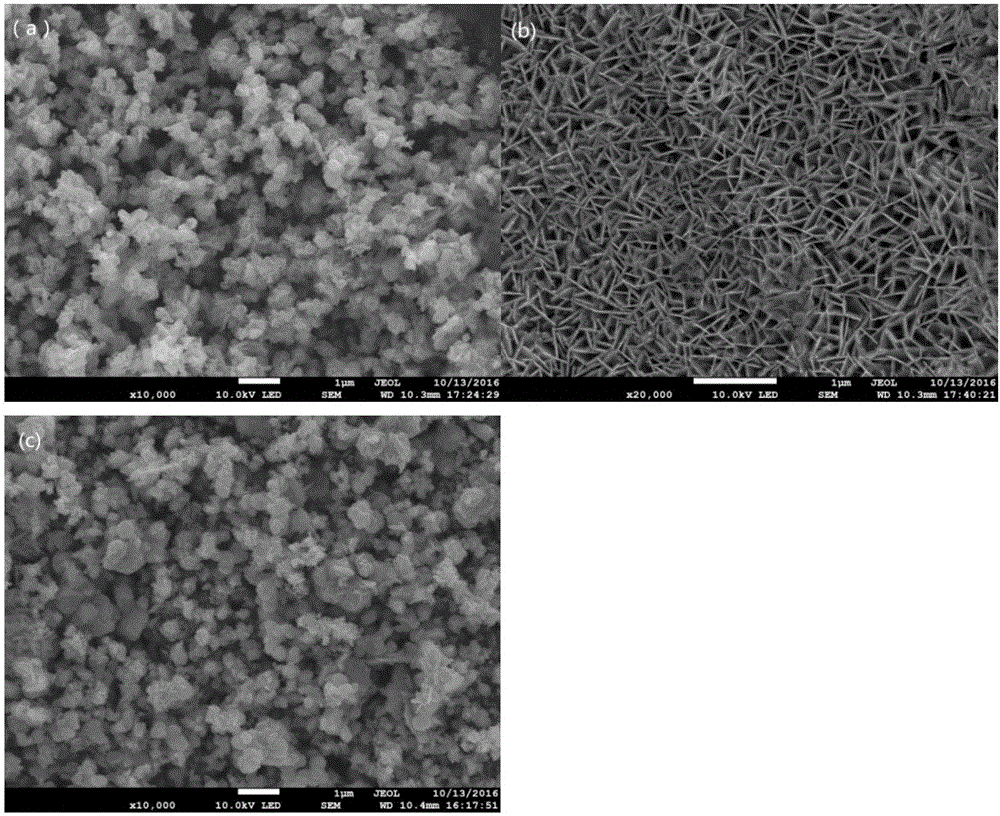 Preparation method and application of nano material CuS/Ni