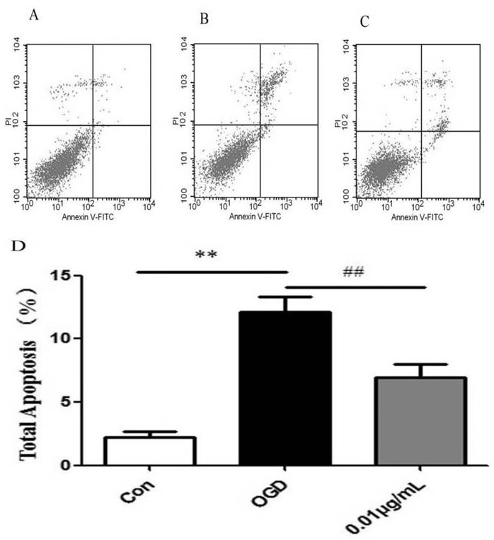 Active oligopeptide GRGDS and application thereof in preparation of drug for preventing and treating ischemic cerebrovascular diseases