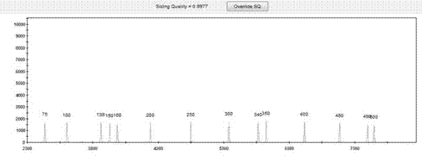 A forensic dna detection kit with auxiliary gender identification and its identification method