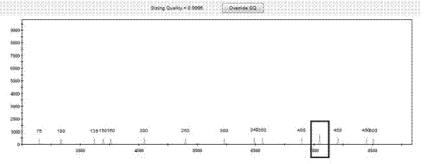 A forensic dna detection kit with auxiliary gender identification and its identification method