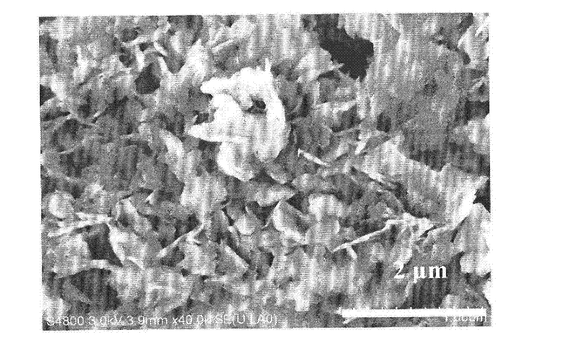 Synthesis method of ferrierite (FER) zeolite molecular sieve and obtained FER zeolite molecular sieve