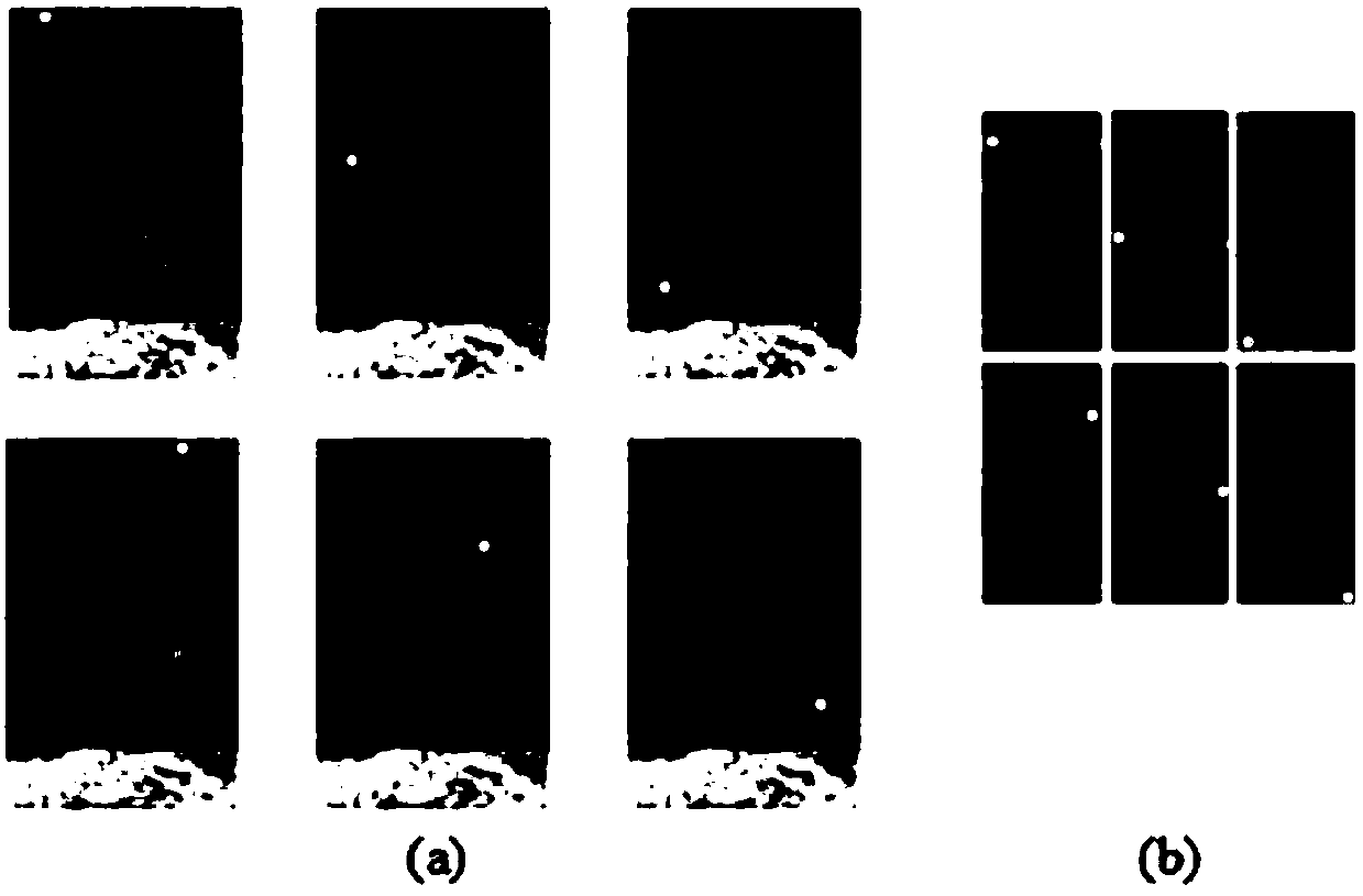 A registration method of passive millimeter wave image and visible light image in human body security inspection