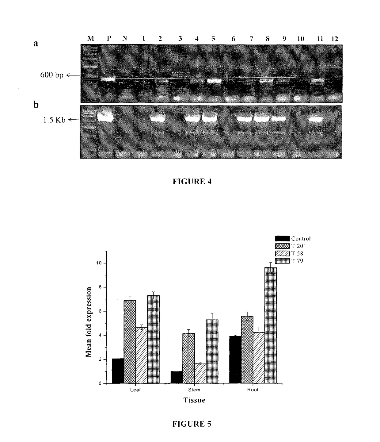 Process for transformation in <i>withania somnifera </i>plants to increase secondary metabolite content