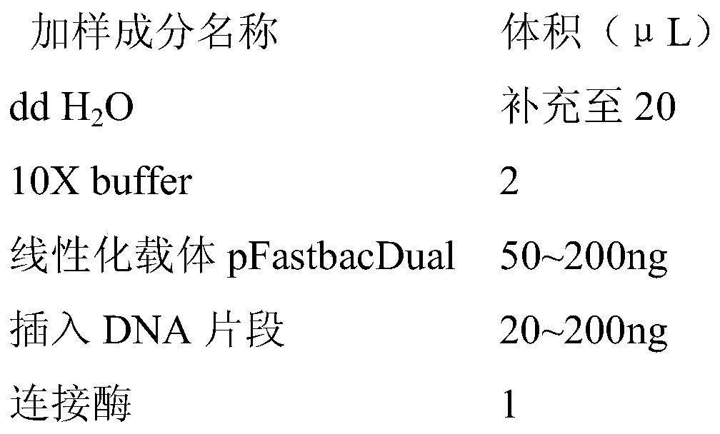 Chicken infectious anemia subunit vaccine