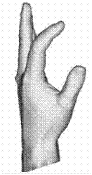 Hand motion three-dimensional simulation method based on dual quaternion