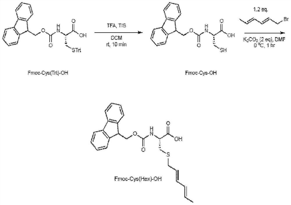 Macrocyclization and multimerization of universal peptides and proteins using diels-alder cycloaddition reactions