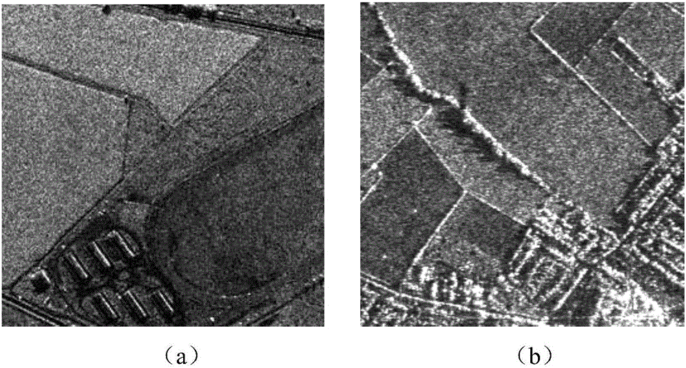 SAR Image Denoising Method Based on Homogeneous Region Segmentation