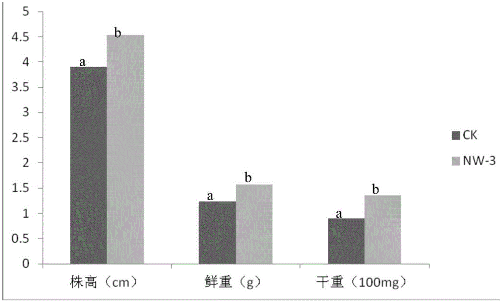 Efficient plant growth promoting bacterium and application thereof in research and development of bio-compound fertilizer