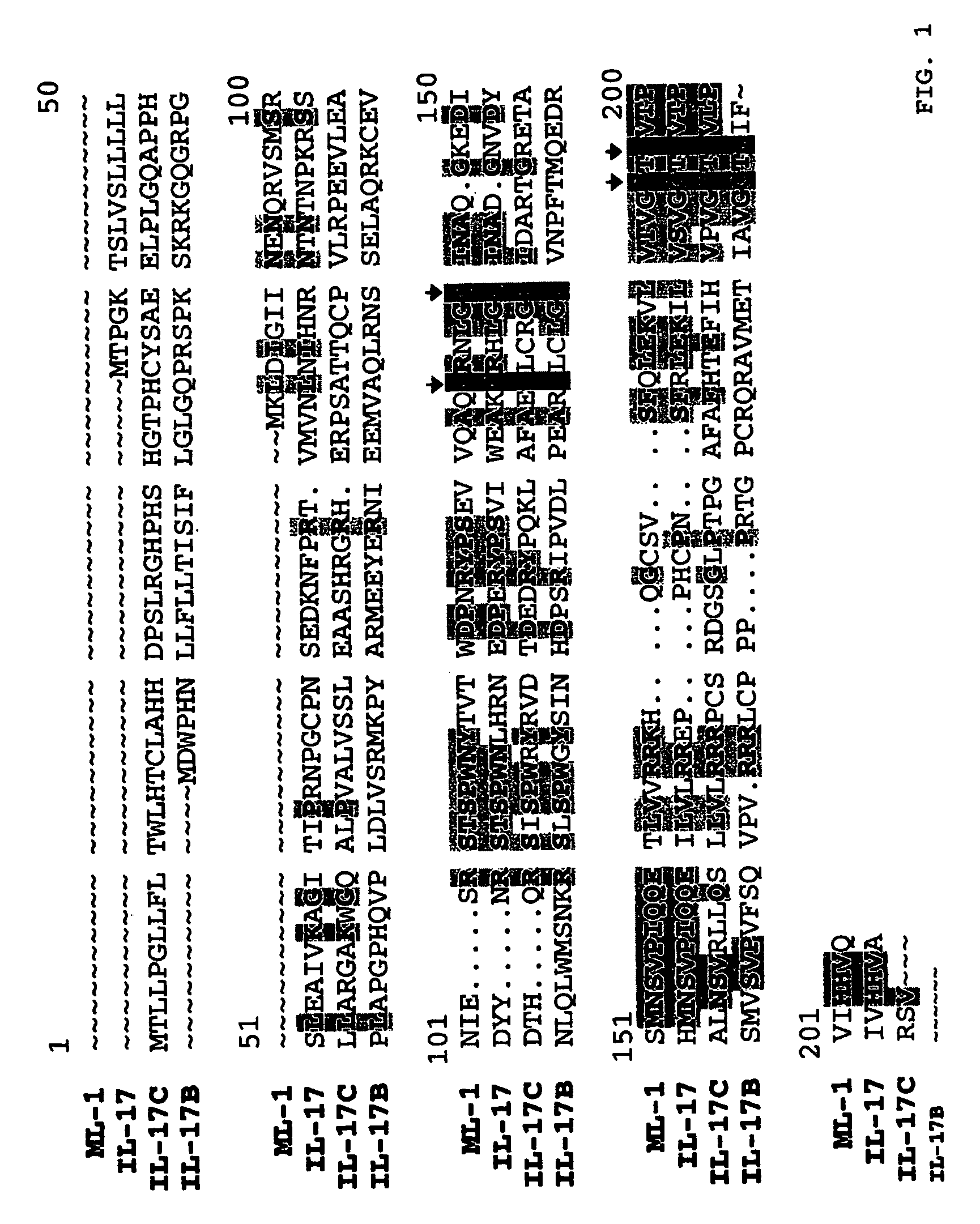 Cytokine structurally related to IL-17