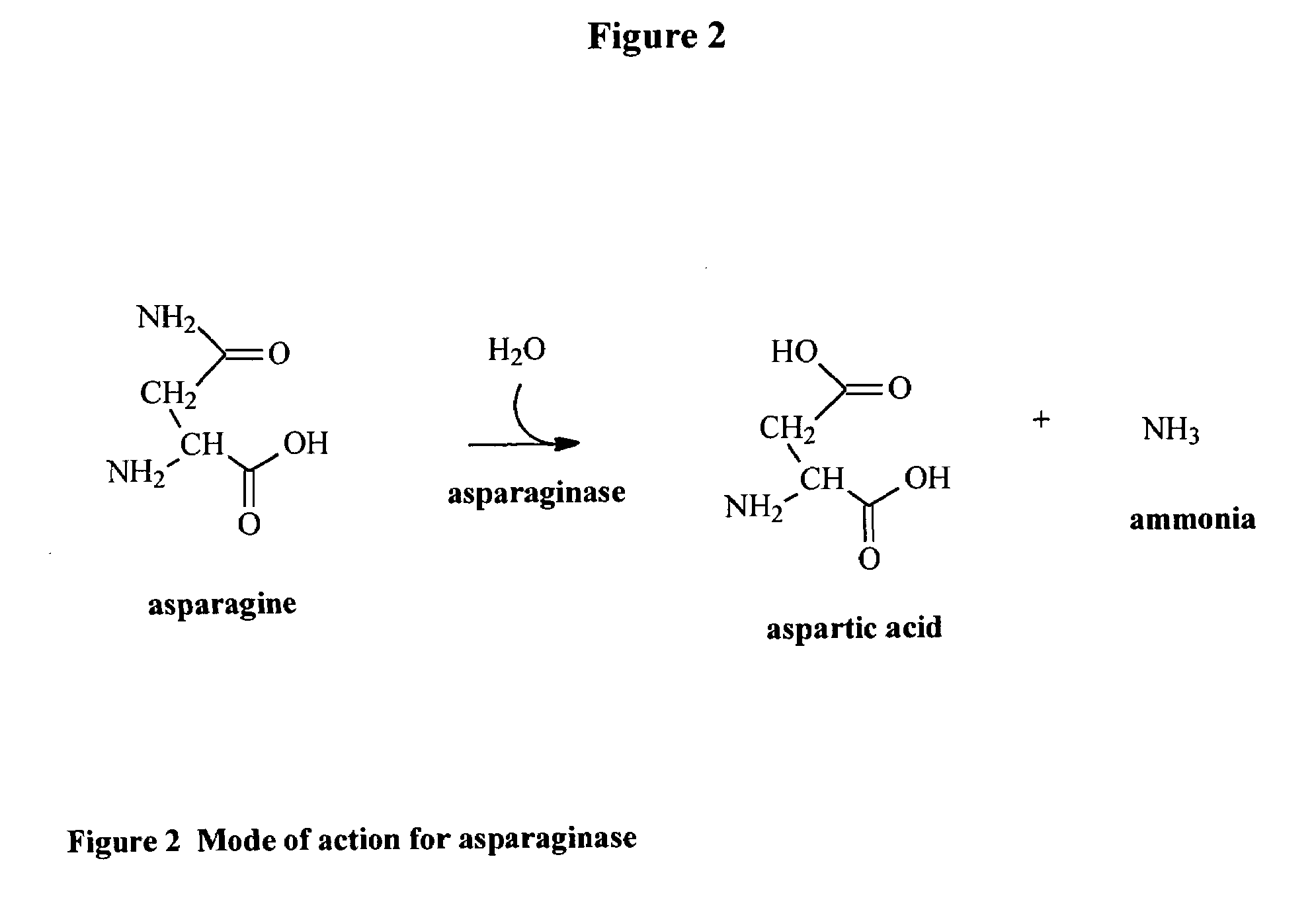 Method for reduction of acrylamide in roasted coffee beans, roasted coffee beans having reduced levels of acrylamide, and article of commerce