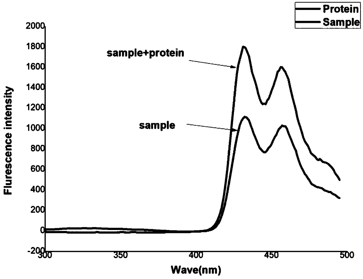 Method for preparing and marking bcl-2 (b-cell lymphoma-2) protein of oral squamous cell carcinoma cells through imine acridine fluorescent probe