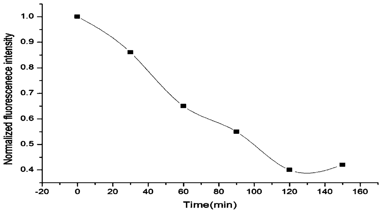 Method for preparing and marking bcl-2 (b-cell lymphoma-2) protein of oral squamous cell carcinoma cells through imine acridine fluorescent probe