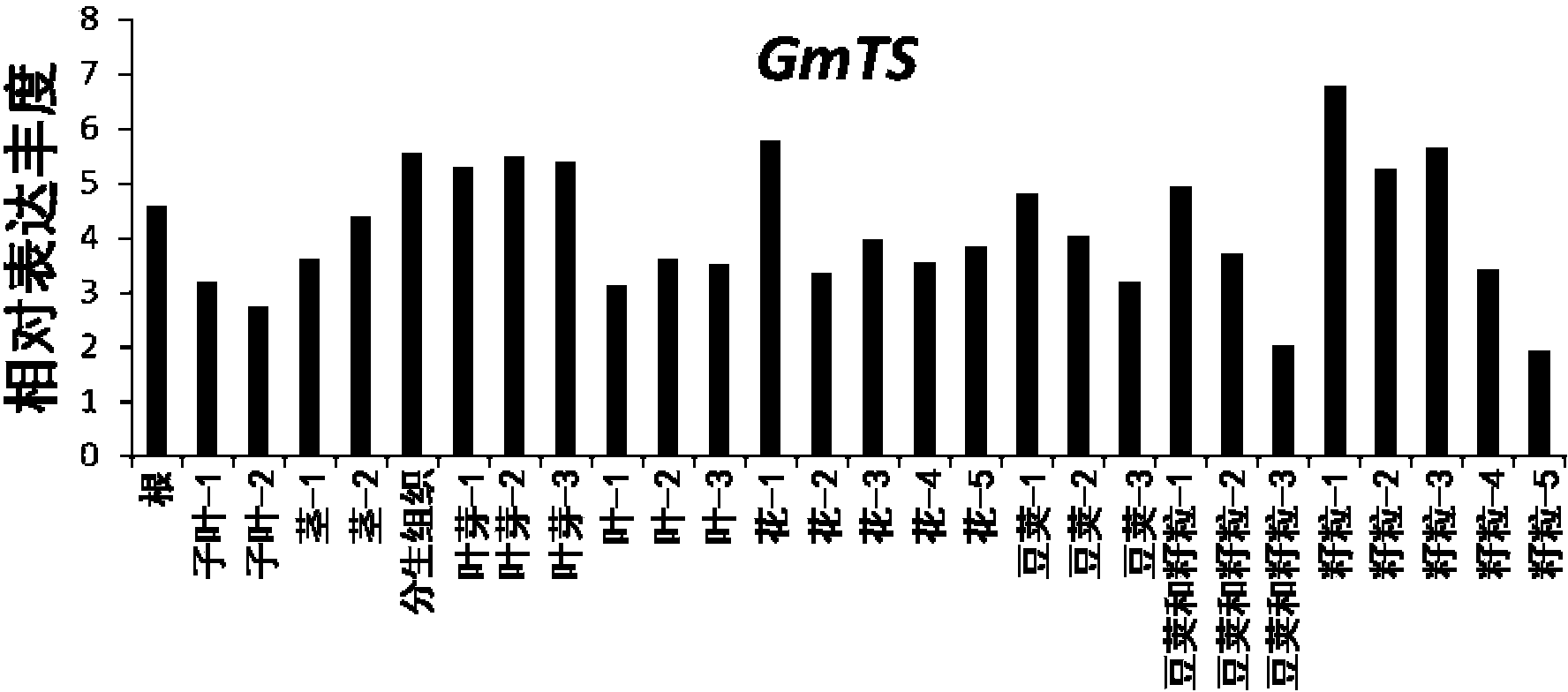 Soybean trigonelline synthase as well as coding gene and application thereof