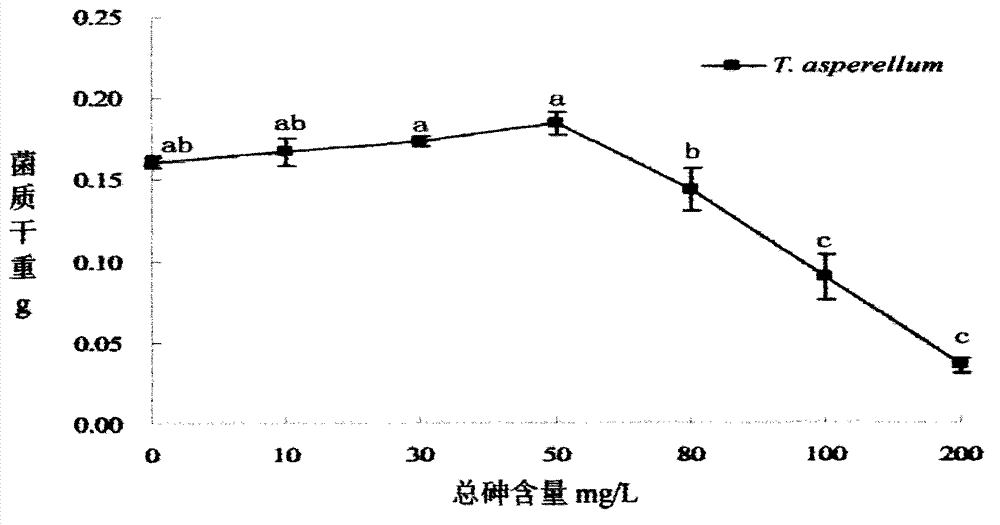 Method for screening trichoderma asperellum and application thereof