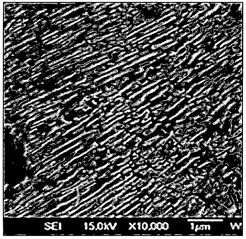 Non-heat treated rolled steel and drawn wire rod with excellent toughness, and method for manufacturing the same