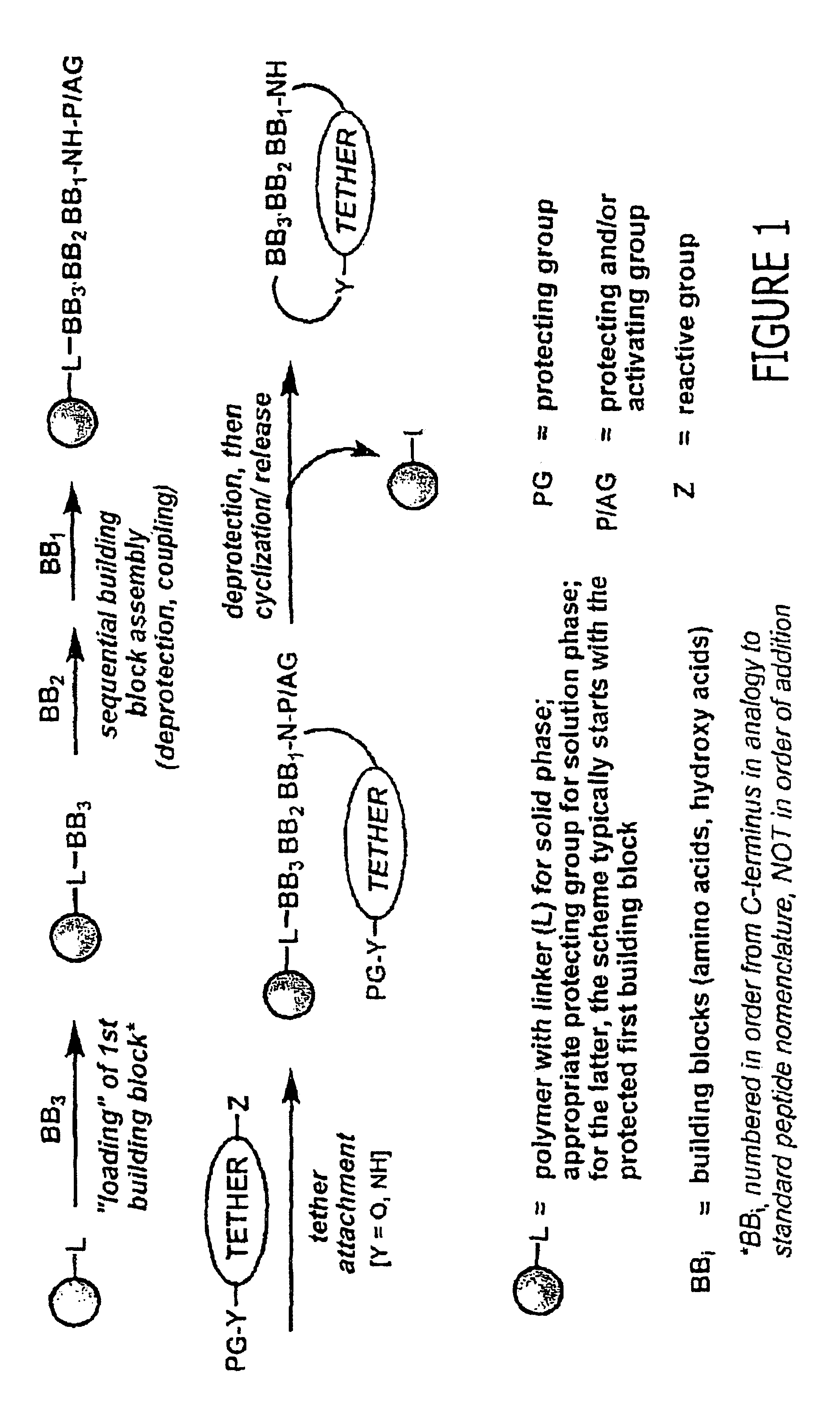 Macrocyclic modulators of the ghrelin receptor