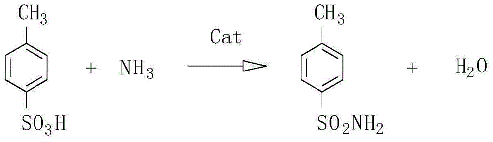 Method for preparing para toluene sulfonamide by directly amidating para-toluenesulfonic acid