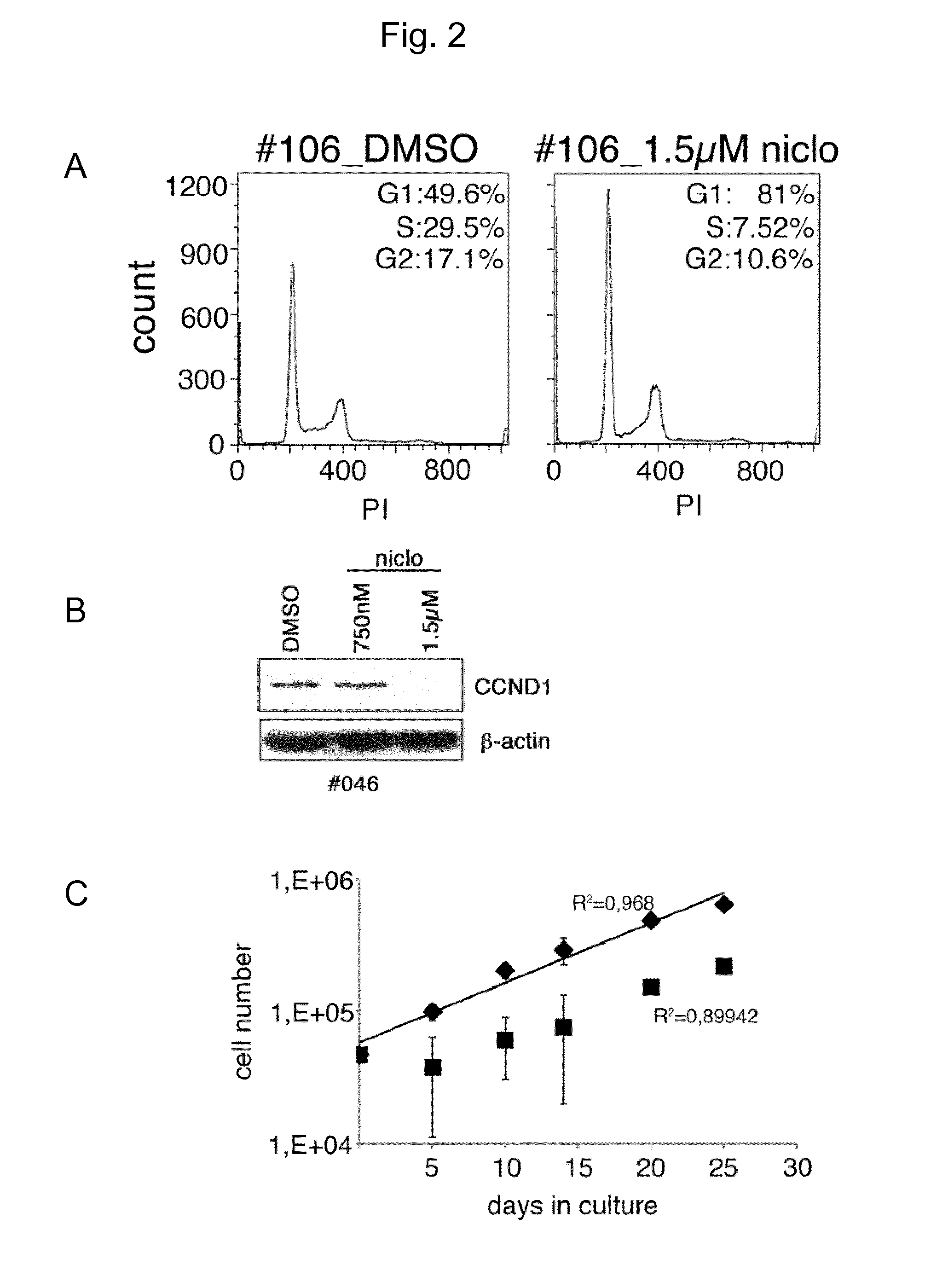 Niclosamide and its derivatives for use in the treatment of sold tumors
