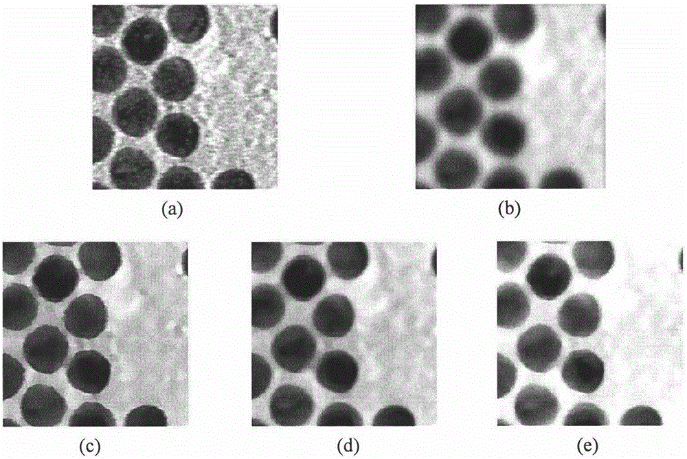 Partial differential equation-based nano-particle size measurement method
