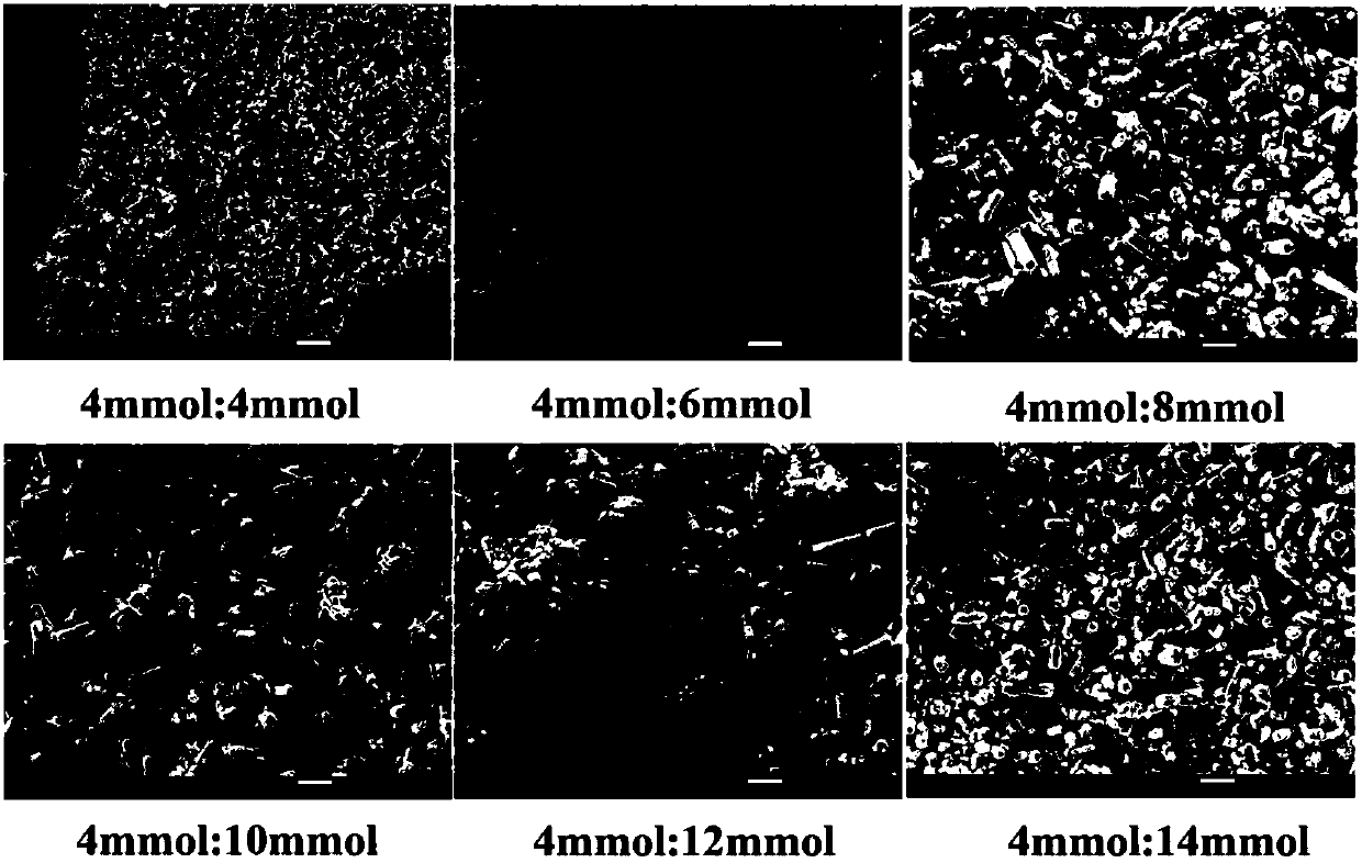 Nanometer zinc oxide material and preparation method thereof