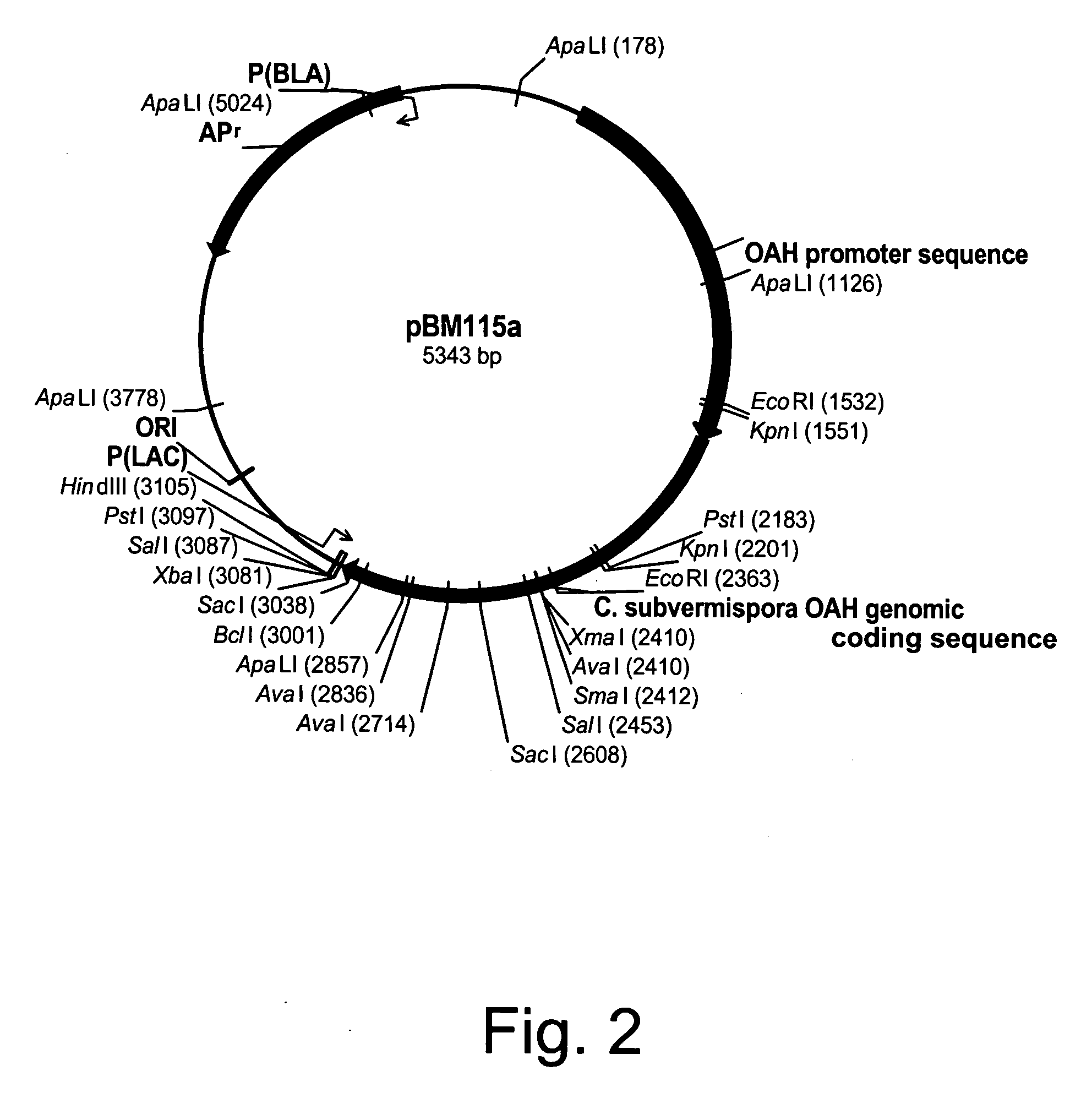 Polypeptides having oxaloacetate hydrolase activity and nucleic acids encoding same