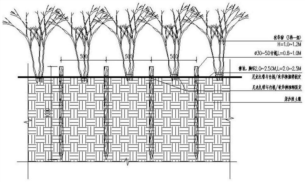 Multifunctional ecological soil and irrigation fixing structure