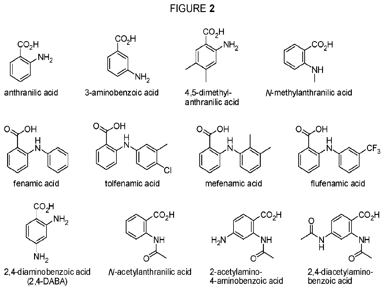 Dextrorphan prodrugs and processes for making and using them