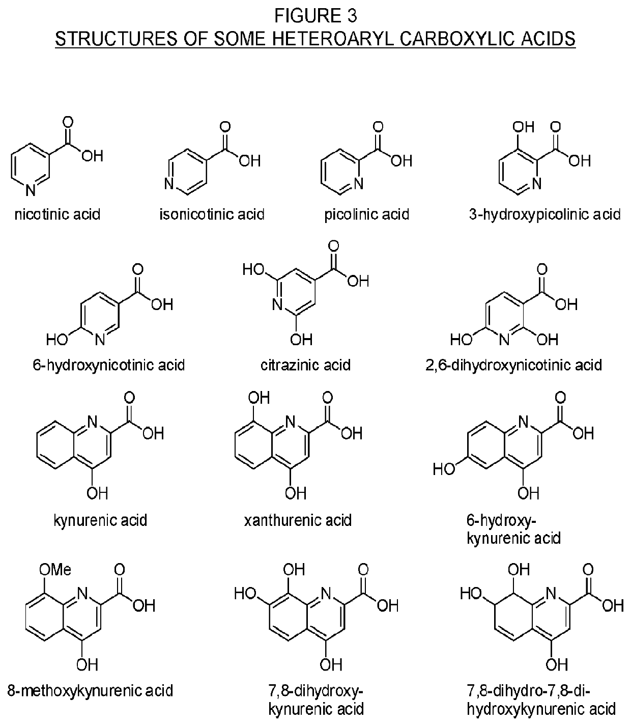 Dextrorphan prodrugs and processes for making and using them