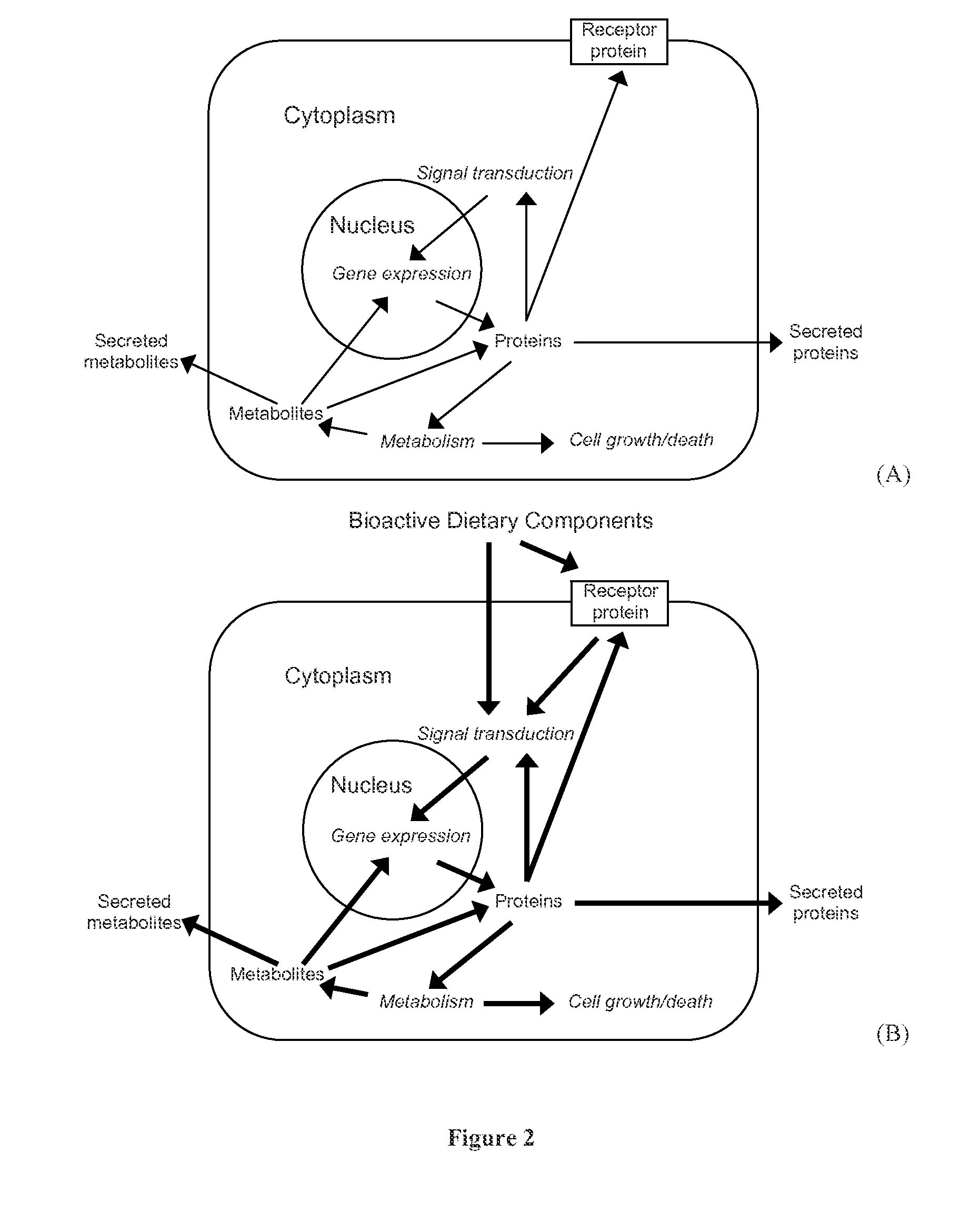 Methods and Systems for Designing Animal Food Compositions