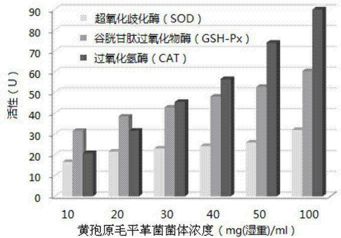 Panerochaete chrysosporium extracting solution with antioxidant enzyme and preparation method