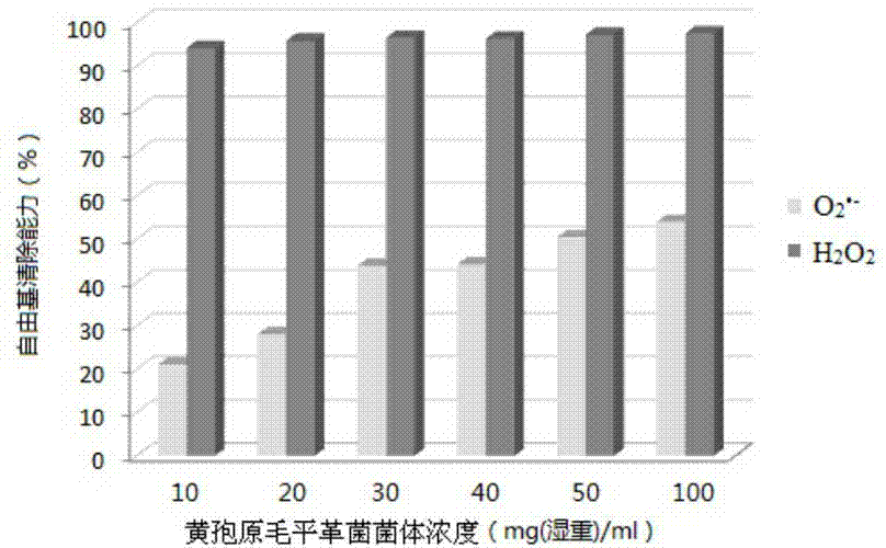 Panerochaete chrysosporium extracting solution with antioxidant enzyme and preparation method