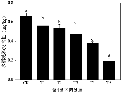 Paddy safety production method for paddy field soil with moderate-severe cadmium pollution