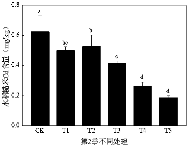 Paddy safety production method for paddy field soil with moderate-severe cadmium pollution