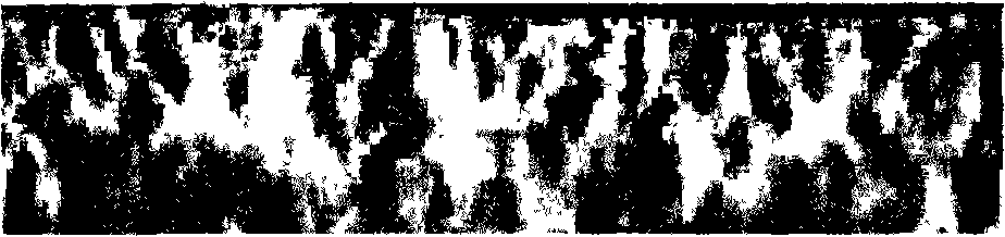 Method for identity recognition through extracting iris texture characteristic