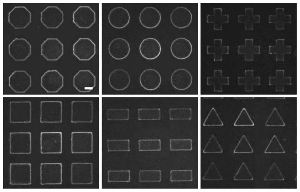 A transparent circuit board self-assembled by nanoparticles, its preparation method and application