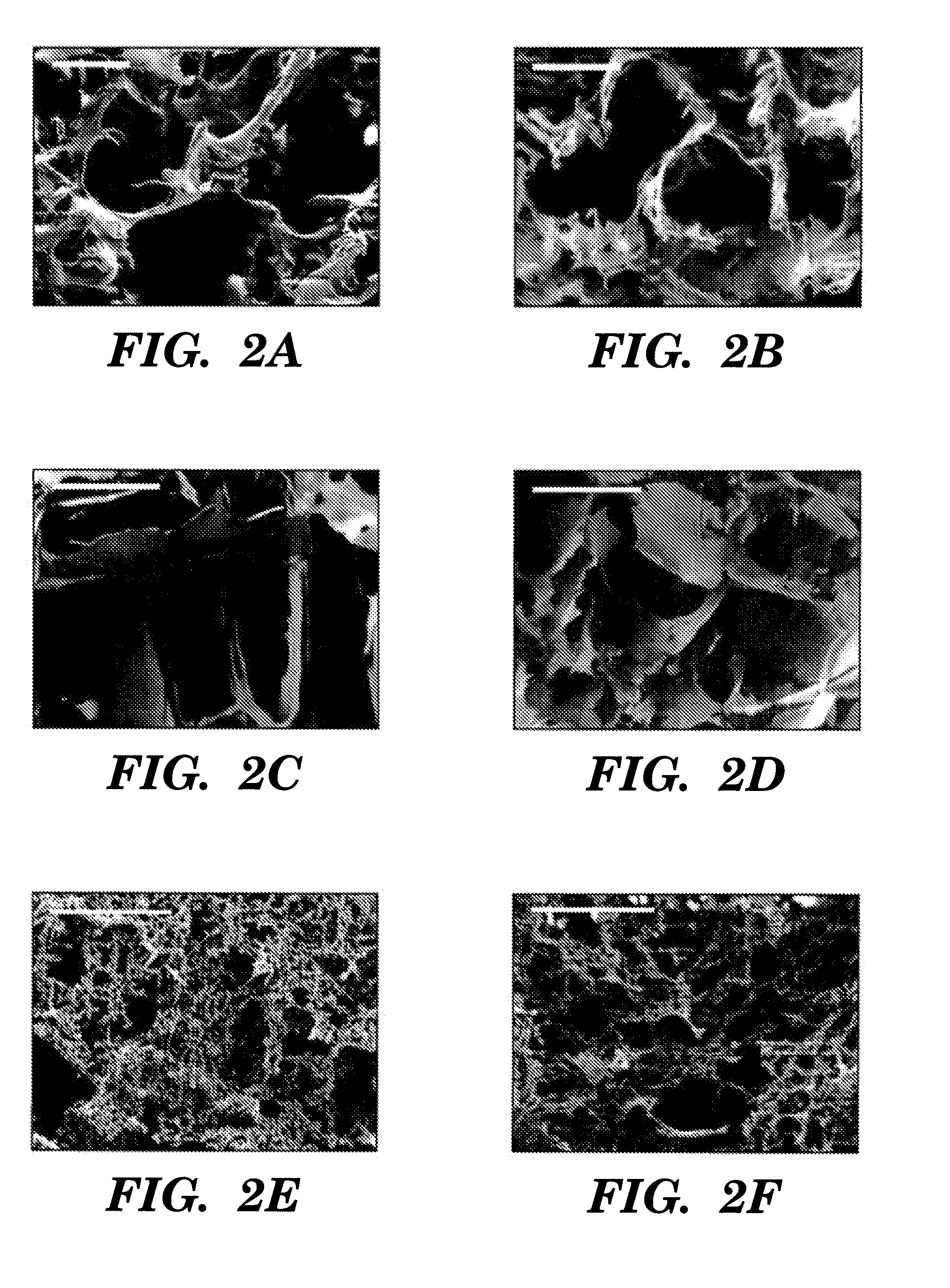 Silk fibroin materials and use thereof