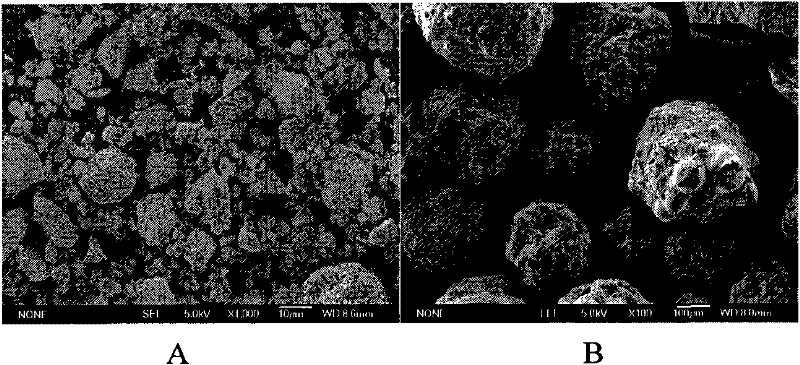 Preparation method of magnetic chitosan compound microsphere immobilized marine alkaline proteinase