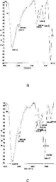 Preparation method of magnetic chitosan compound microsphere immobilized marine alkaline proteinase