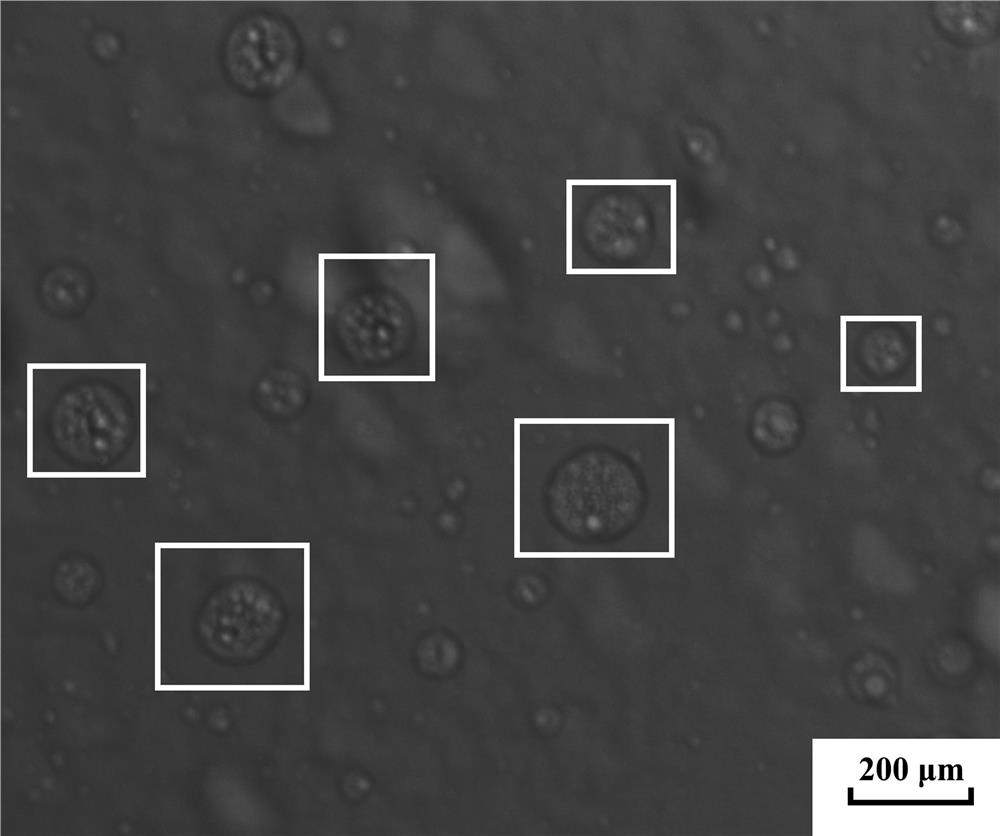 External repair and internal solid self-repairing microcapsules with cellular structure and preparation method thereof