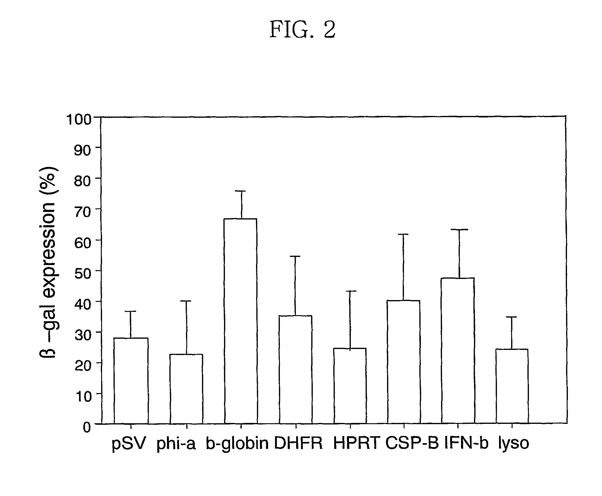 Expression vector using for animal cell