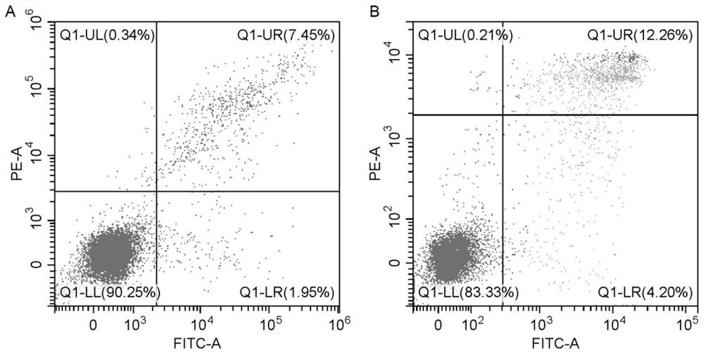 A kind of nk cell culture system and application